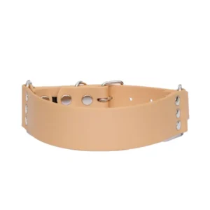 obroża szeroka złota