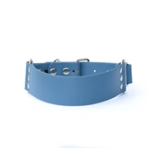 obroża szeroka niebieska