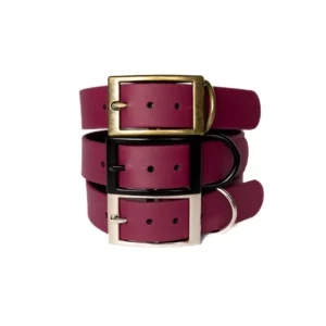 obroża klasyczna bordowa