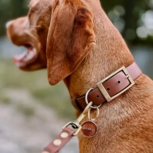 obroża klasyczna karmelowa