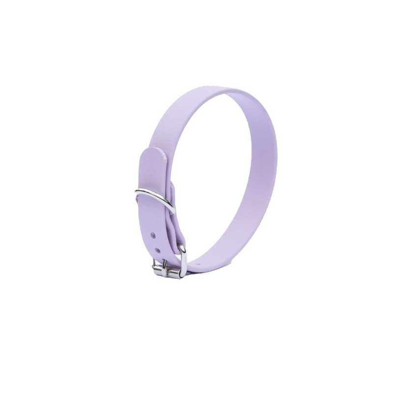 obroża dla małych psów