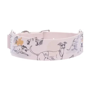 obroża szeroka dla charta