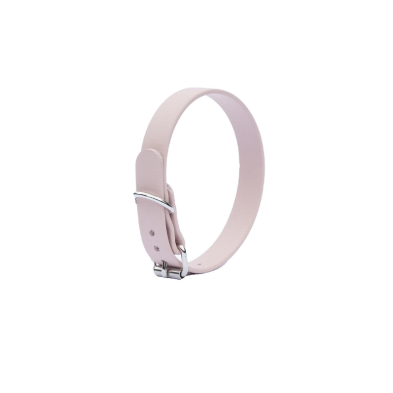 Obroża dla małych psów