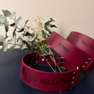 obroża szeroka personalizowana