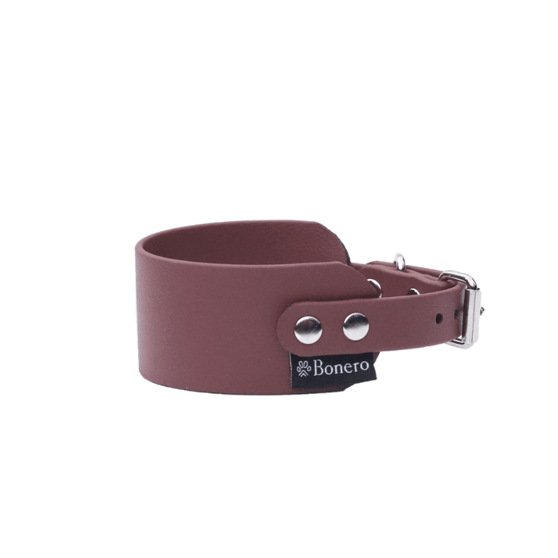 obroża dla charta brązowa