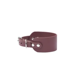 Obroża dla charta z BioThane® Karmelowa 38mm