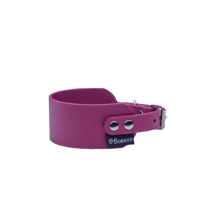 obroża dla charta bordowa