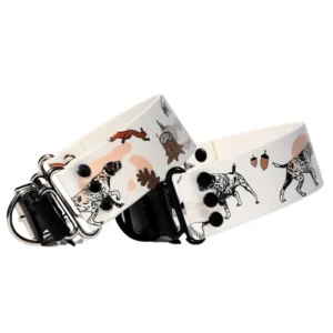 obroża dla wyżła hunter obroża szeroka