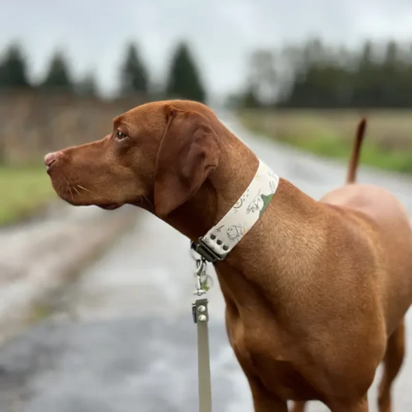 Obroża Szeroka z BioThane "Pointer" 38mm - obrazek 3