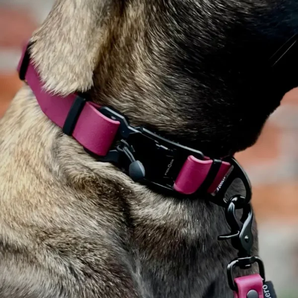 Obroża z klamrą FIDLOCK® Hi-tec bordowa - obrazek 3
