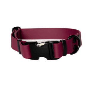 Obroża z metalowa klamrą ALU-MAX