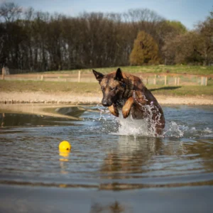 piłka dla psa do wody