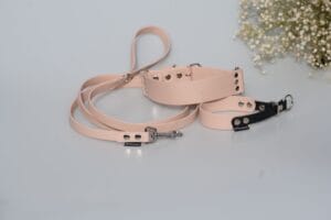 Smycz dla psa z BioThane