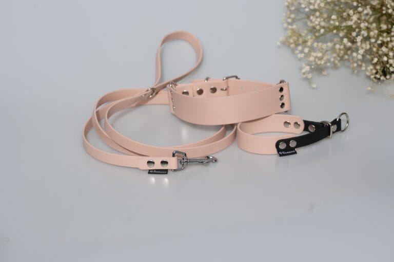 Smycz dla psa z BioThane