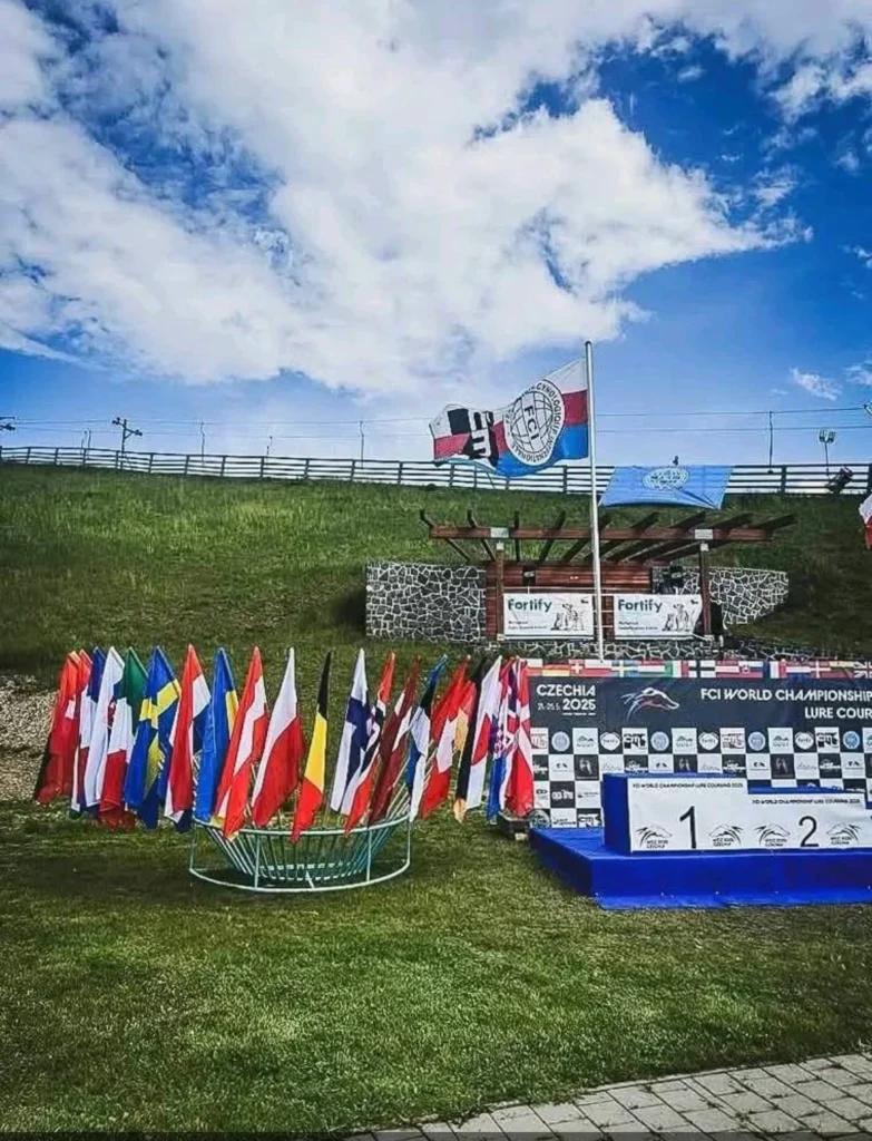 Mistrzostwa Świata Coursing
