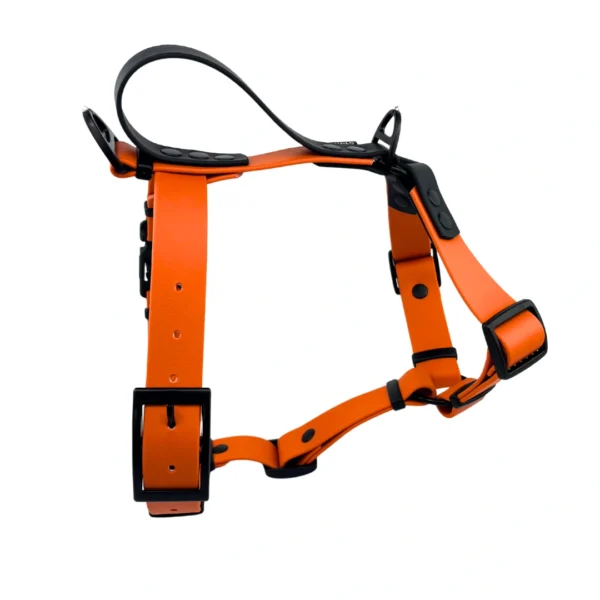 Szelki z BioThane® Guard pomarańczowe - obrazek 6