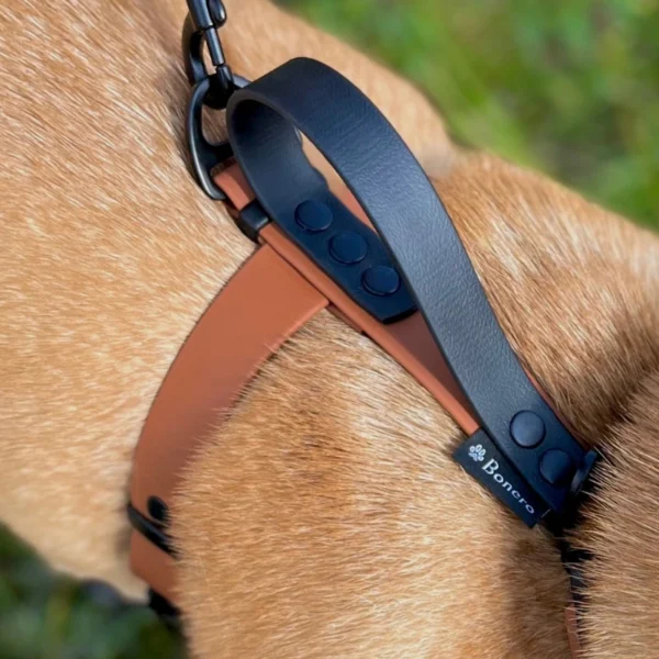 Szelki z BioThane® Guard toffi - obrazek 3