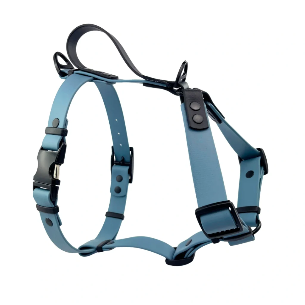 szelki niebieskie z BioThane Guard