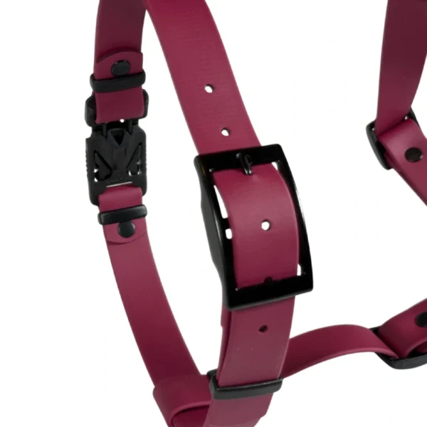 Szelki z BioThane® Guard bordowe - obrazek 6
