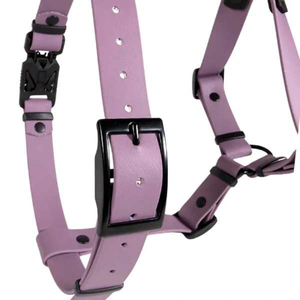 Szelki z BioThane® Guard Fiolkowe - obrazek 3