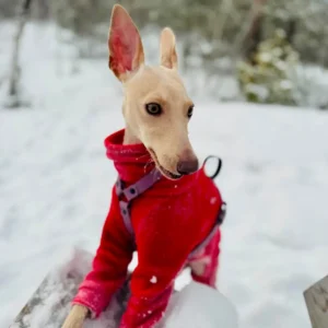 Szelki dla psa BioThane