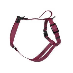 Szelki dla charta Bordo