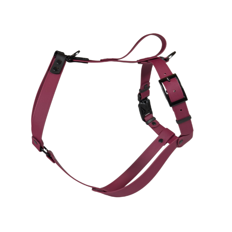 Szelki dla Charta z BioThane® bordowe - obrazek 2