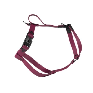 Szelki dla charta Bordo