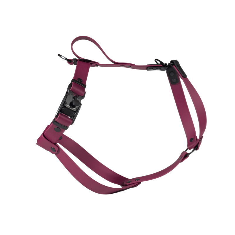 Szelki dla charta Bordo