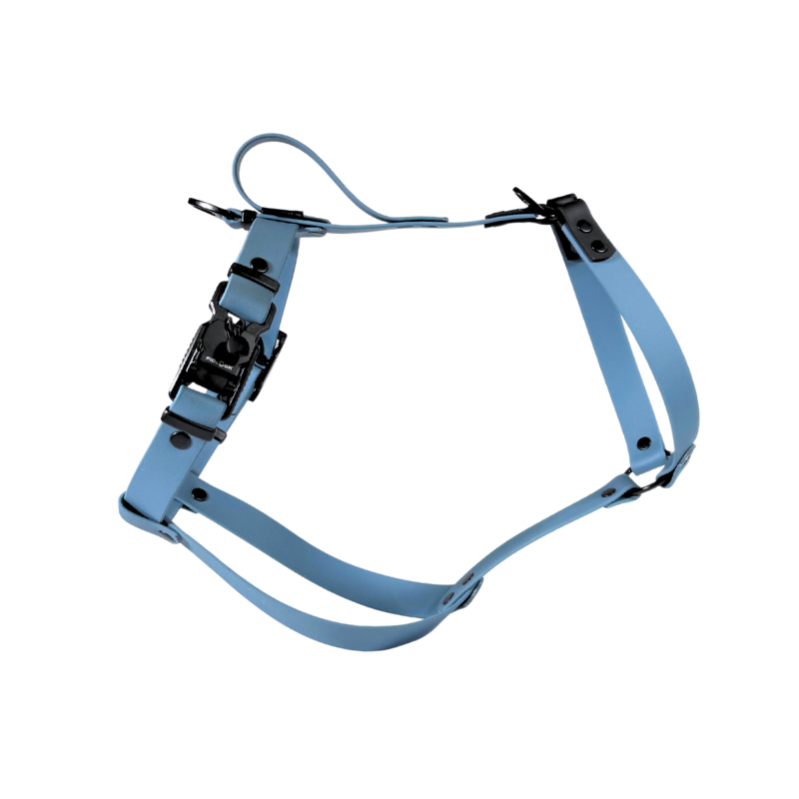 Szelki dla charta niebieskie