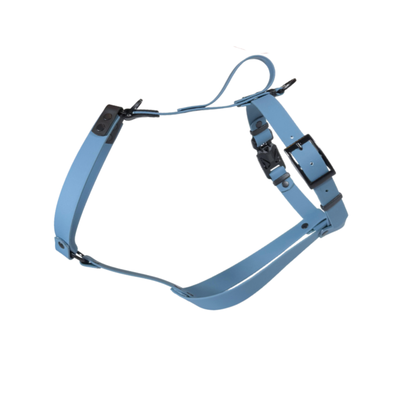 Szelki dla charta niebieskie