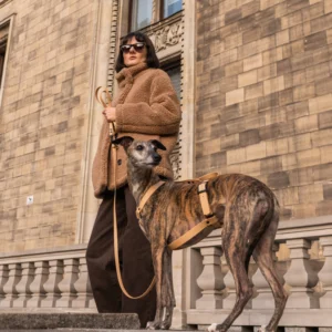 Szelki dla Charta z BioThane® Złote