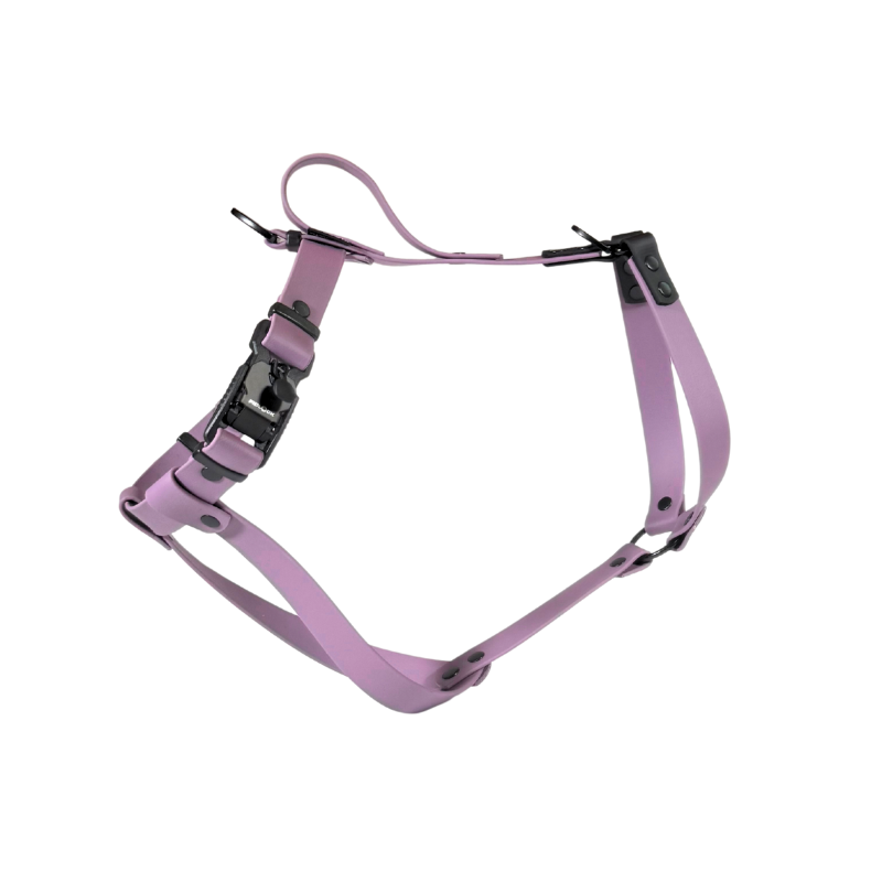 szelki dla charta z BioThane fioletowe