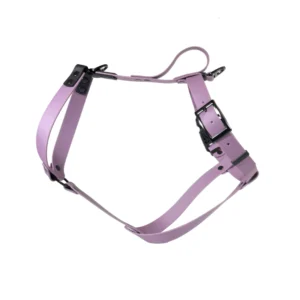 szelki dla charta z BioThane fioletowe