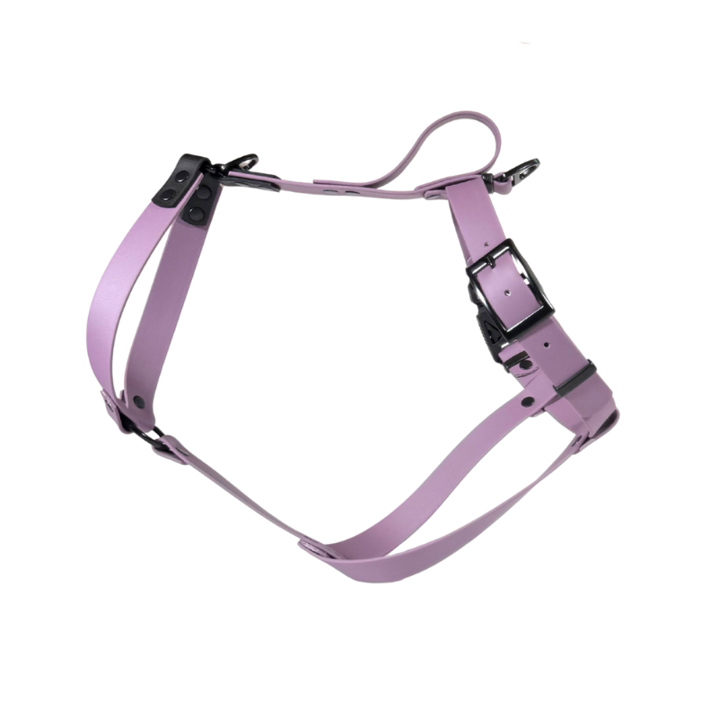 Szelki dla Charta z BioThane® fiołkowe - obrazek 2