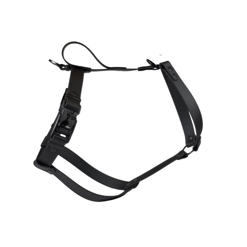 Szelki dla charta z BioThane czarne