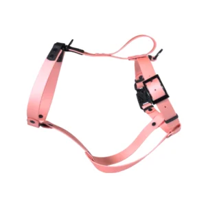 Szelki dla charta z BioThane łosoś