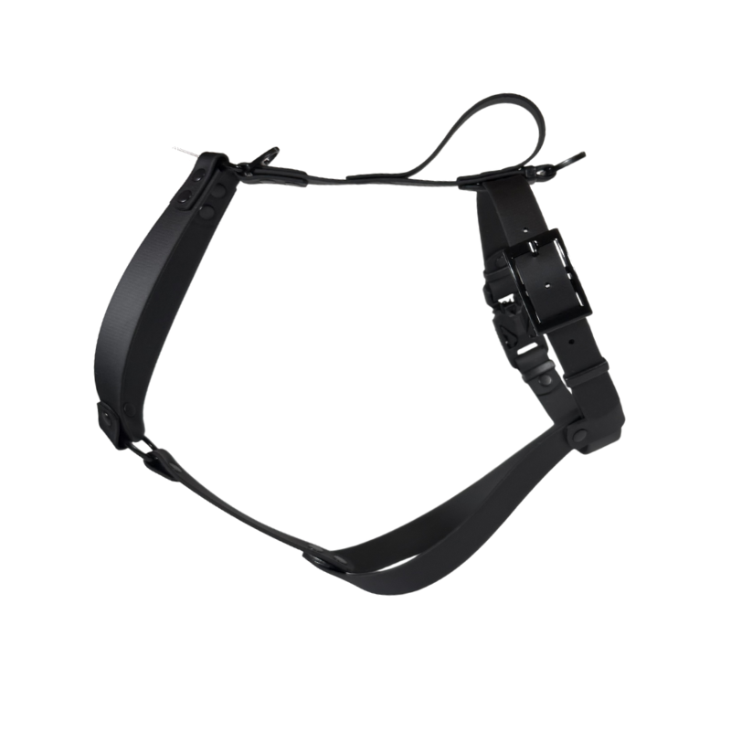 Szelki dla charta z BioThane