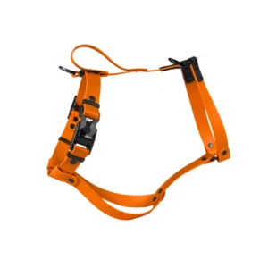 szelki dla charta pomarańczowe