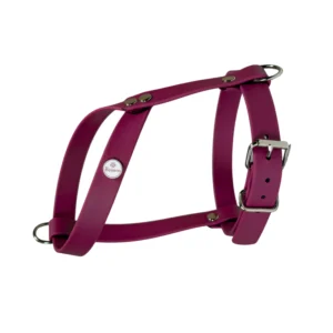 szelki dla małych ras