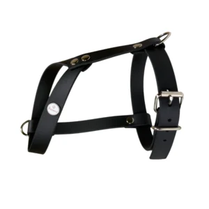 szelki dla małych ras