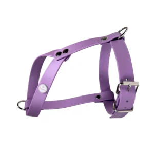 szelki dla małych ras