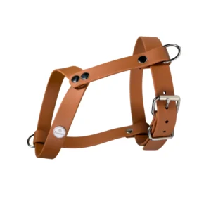 szelki dla małych ras