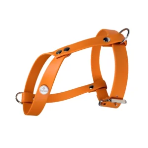 szelki dla małych ras