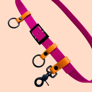 Pas spacerowy dla opiekuna