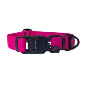 obroża dla psa z klamra magnetyczną