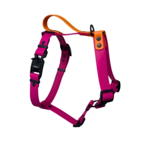 Szelki guard Magenta